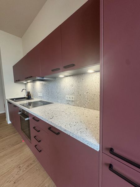 Detail: maroon-red cabinets and terrazzo worktop