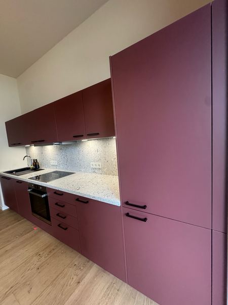 Open fitted kitchen with induction hob, oven and fridge-freezer