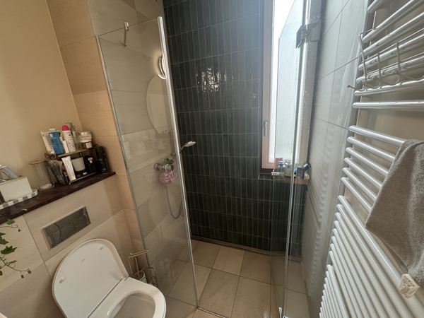 Glass walk-in shower